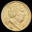 20 francs Louis XVIII  buste nu avers